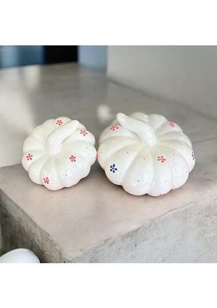 Orta ve Küçük Boy Dekoratif Kabak Set fiyatları