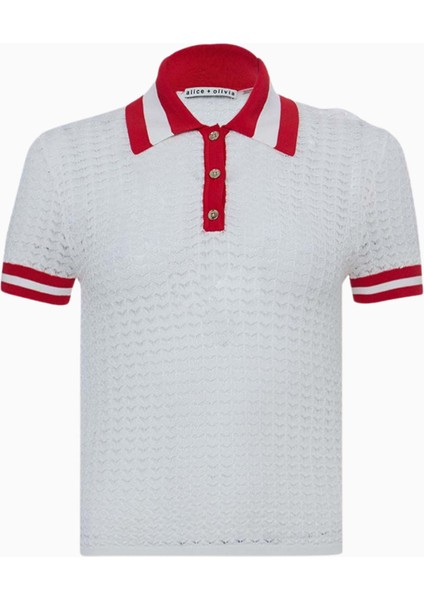 Çizgili Örgü Kısa Kollu Polo Tişört