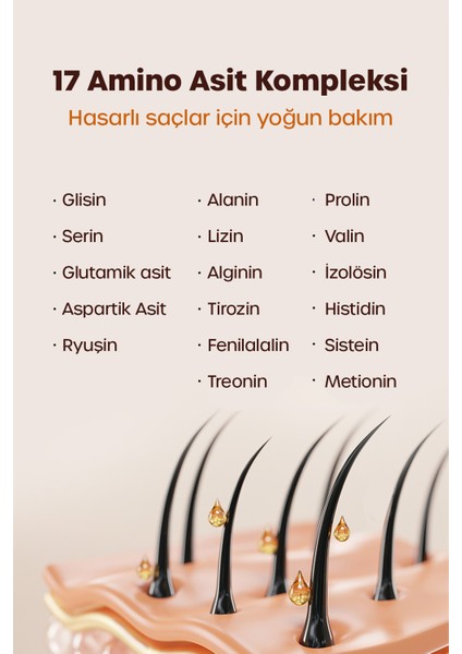 Ampoule Yeniden Yapılandırıcı Treatment Krem, Yoğun Hasar Görmüş Kırılgan Saçlar Için Onarıcı 200ML fiyatları