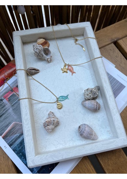 Deniz Kabuğu Çelik Kolye fiyatları