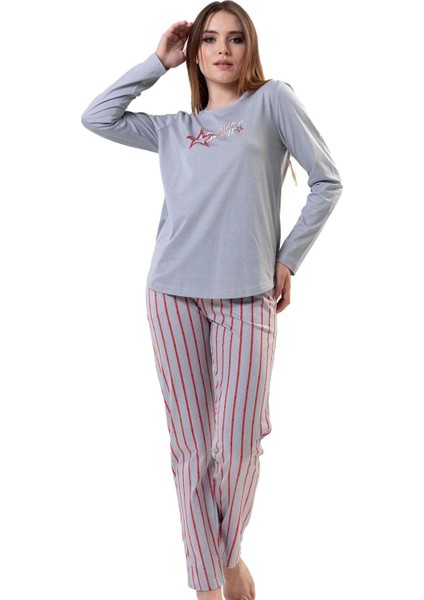 - K203148 Vienetta