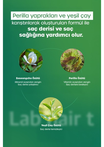 Tonik Saç Dökülme Karşıtı Yeniden Yapılandırıcı Saç Köklerini Güçlendiren Yoğun Bakım 150 ml modelleri