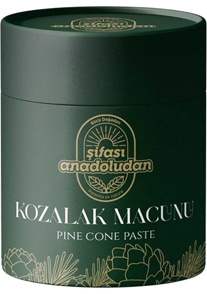 Kozalak Macunu 240 gr