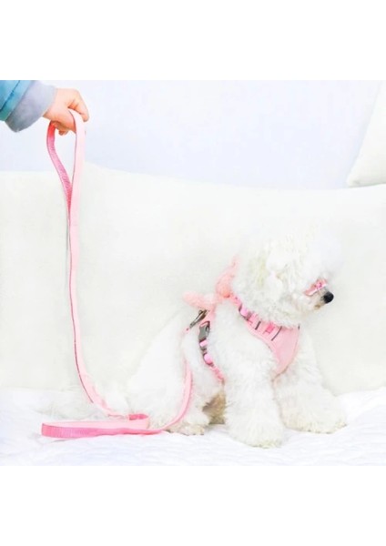 Evcil Hayvan Peluş Ayıcıklı Göğüs Gezdirme Tasması Set fiyatları