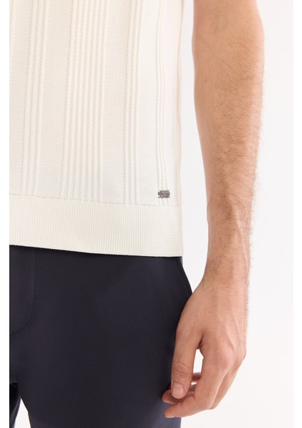Erkek Ekru Bisiklet Yaka Rayon Tüylenmeyen Çizgili Triko Regular Fit T-Shirt A52Y5005 fırsatları