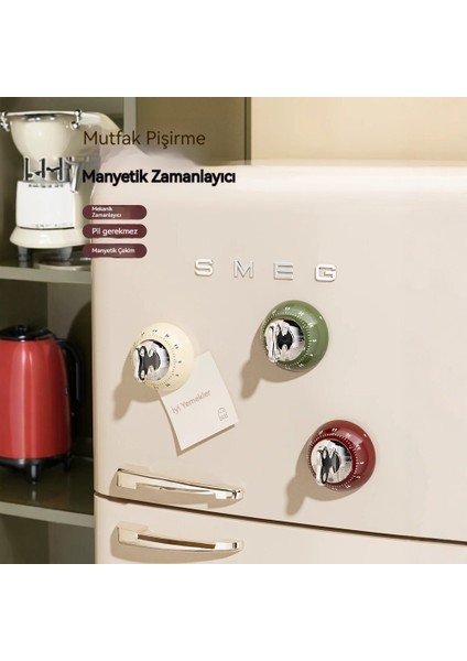 Yeni Basit Manyetik Mekanik Zamanlayıcı (Yurt Dışından) fiyatları