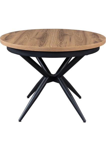 Zello 4 Sandalyeli Mutfak Masa Takımı fiyatları