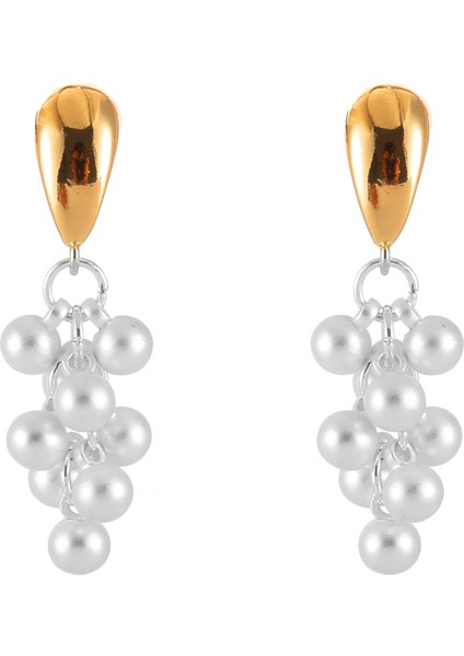 Atılı Kişiselleştirilmiş Çok Yönlü Küpe Takı (Yurt Dışından)