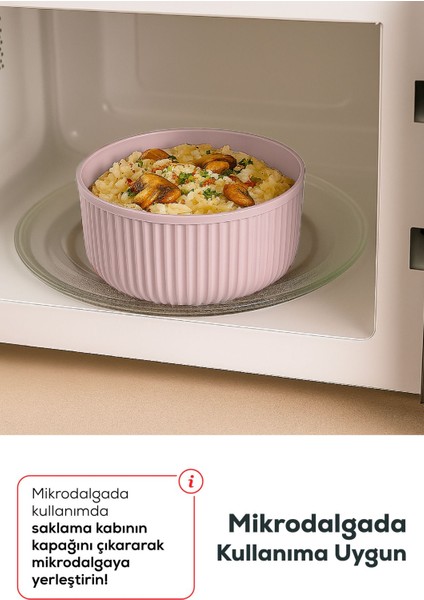 12'li Çizgili Yuvarlak Saklama Kabı Seti Pembe modelleri