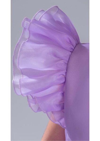 Kız Çocuk Kuyruklu , Taçlı Vragia Abiye Elbise M00745 indirimleri