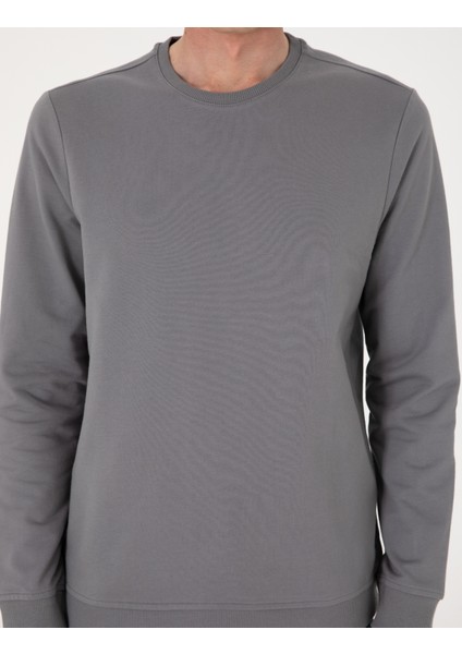 Erkek Gri 2 Iplik Regular Fit Bisiklet Yaka Basic Sweatshirt 50314054-VR024