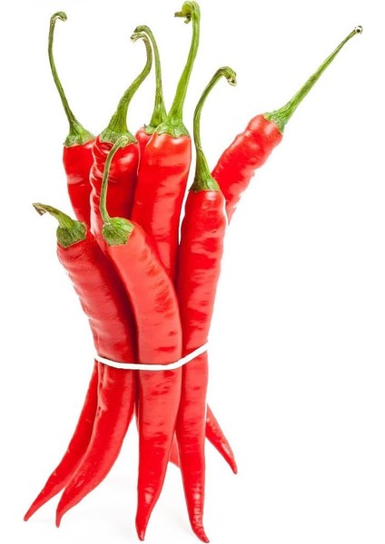 Cayenne Kırmızı Kıl Biber Tohumu Chili Pepper Çok Acı modelleri
