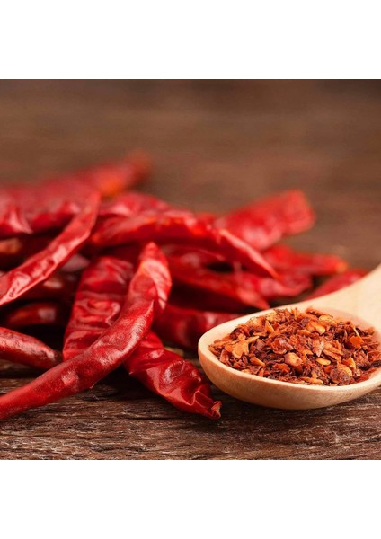 Cayenne Kırmızı Kıl Biber Tohumu Chili Pepper Çok Acı indirimleri