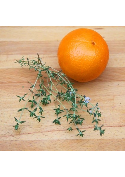 Portakal Kokulu Kekik Tohumu Thymus Fragrant indirimleri