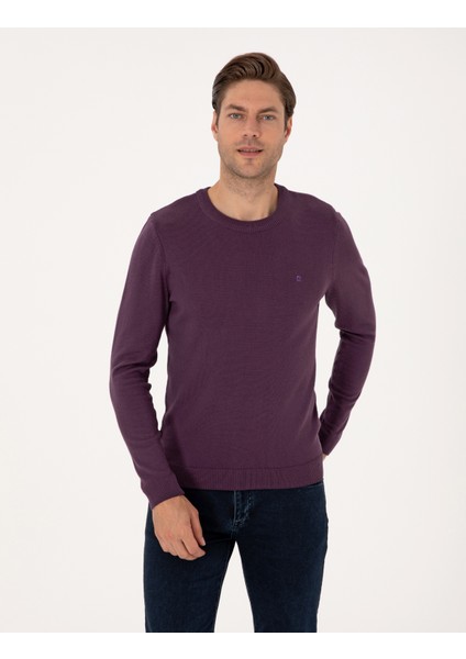 Erkek Mor Slim Fit Bisiklet Yaka Basic Triko Kazak 50314192-VR038
