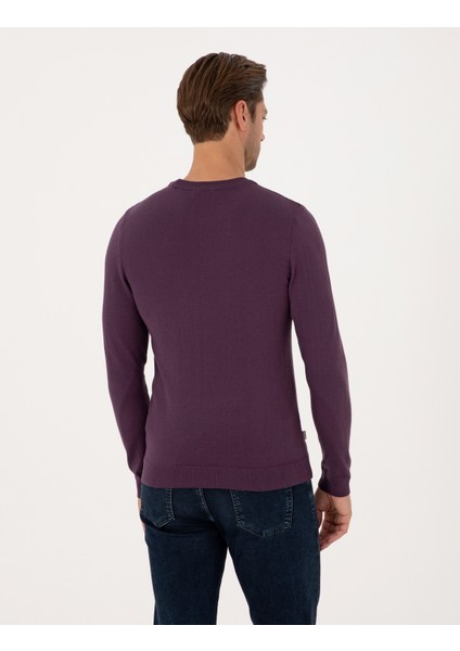Erkek Mor Slim Fit Bisiklet Yaka Basic Triko Kazak 50314192-VR038 indirimleri