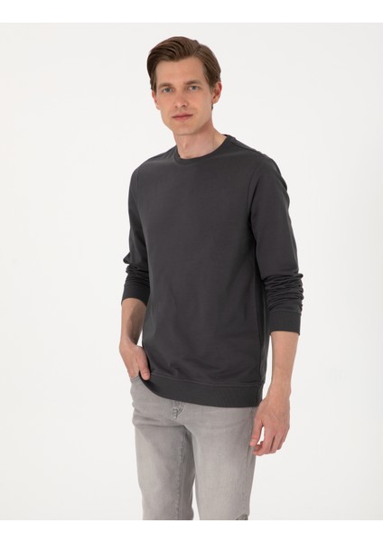Erkek Antrasit 2 Iplik Regular Fit Bisiklet Yaka Basic Sweatshirt 50314054-VR006 modelleri
