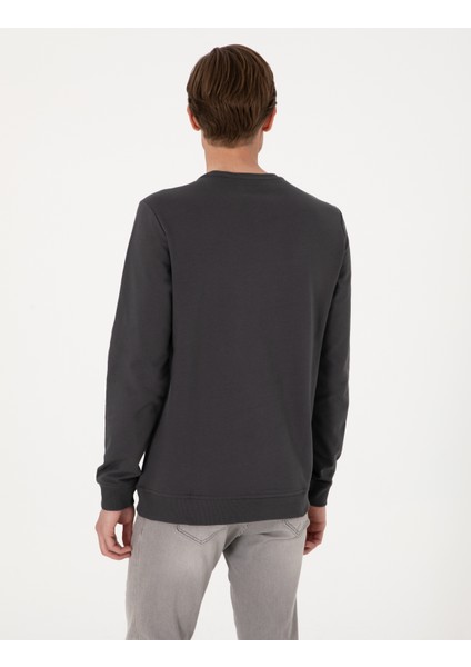 Erkek Antrasit 2 Iplik Regular Fit Bisiklet Yaka Basic Sweatshirt 50314054-VR006 indirimleri