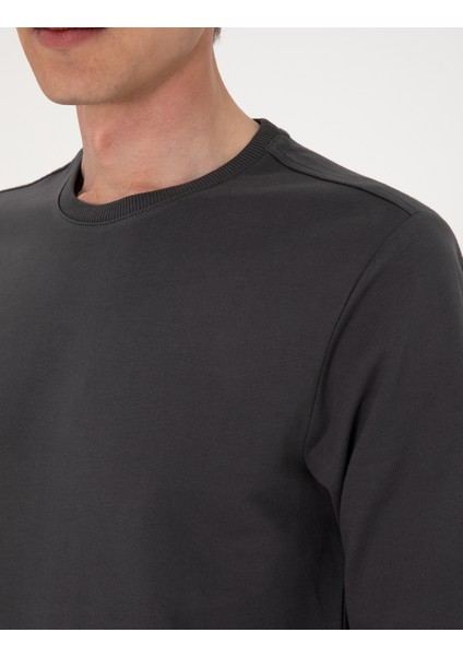 Erkek Antrasit 2 Iplik Regular Fit Bisiklet Yaka Basic Sweatshirt 50314054-VR006
