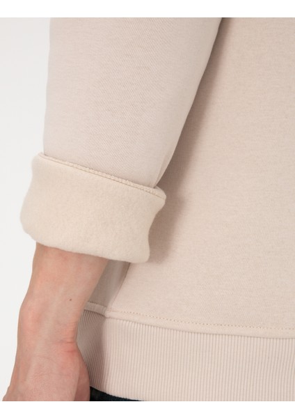 Erkek Taş 2 Iplik Regular Fit Içi Polarlı Kapüşonlu Basic Sweatshirt 50314055-VR049