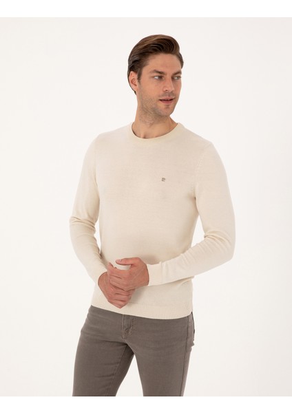 Erkek Bej Slim Fit Bisiklet Yaka Basic Triko Kazak 50314192-VR011