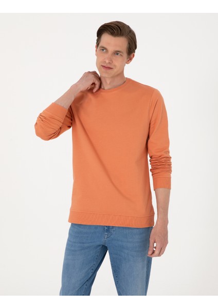 Erkek Somon 2 Iplik Regular Fit Bisiklet Yaka Basic Sweatshirt 50314054-VR047