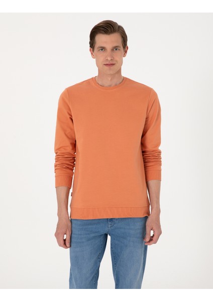 Erkek Somon 2 Iplik Regular Fit Bisiklet Yaka Basic Sweatshirt 50314054-VR047 modelleri