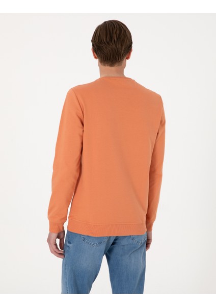 Erkek Somon 2 Iplik Regular Fit Bisiklet Yaka Basic Sweatshirt 50314054-VR047 indirimleri