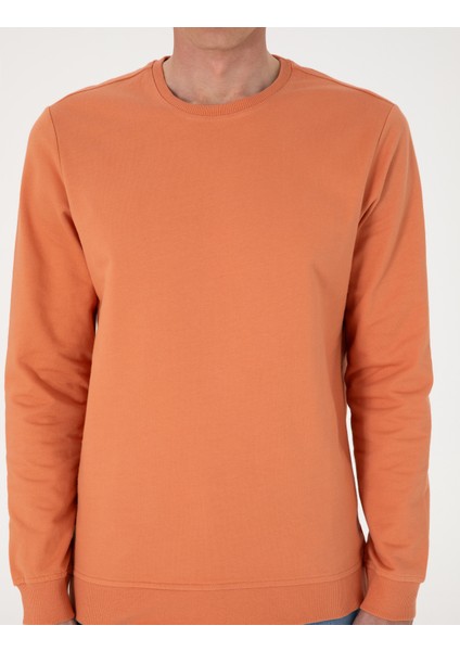 Erkek Somon 2 Iplik Regular Fit Bisiklet Yaka Basic Sweatshirt 50314054-VR047