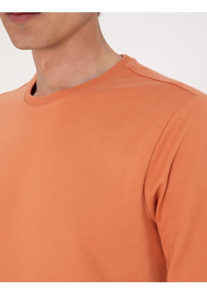 Erkek Somon 2 Iplik Regular Fit Bisiklet Yaka Basic Sweatshirt 50314054-VR047