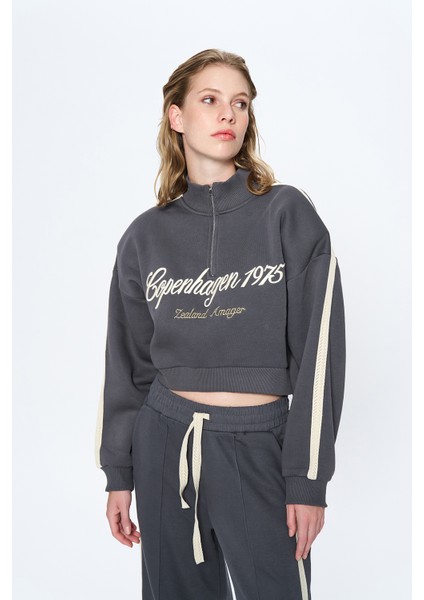 Şerit Detaylı Fermuarlı Crop Sweatshirt Antrasit modelleri