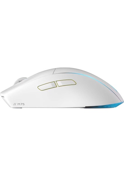 MOUSE - CH-931D011-EU M75 LGHTW. RGB Wrl.W fiyatları