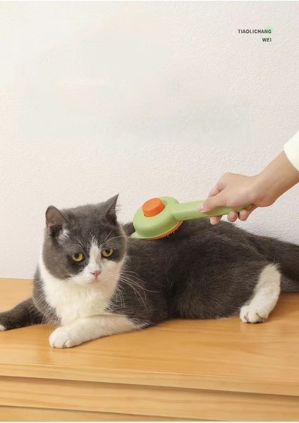 Pet Bakım Çelik Iğne Tarak Kedi Saç Fırçası (Yurt Dışından) fiyatları