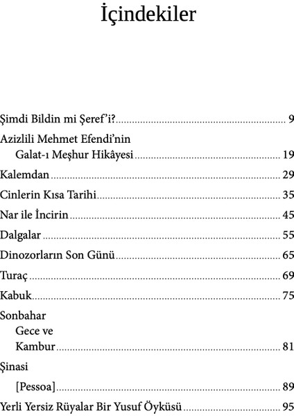 Dinozorların Son Günü - Ali Yağan modelleri