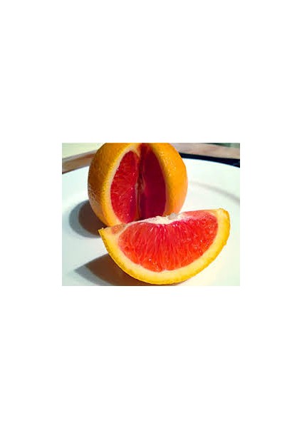 2 Yaş Aşılı Cara Cara Portakal (Kanlı Portakal) Fidanı indirimleri