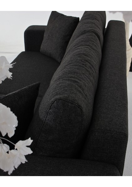 Nola Koltuk Takımı 3+3+3 & Bazalı Yataklı Koltuk & Kanepe - Antrasit