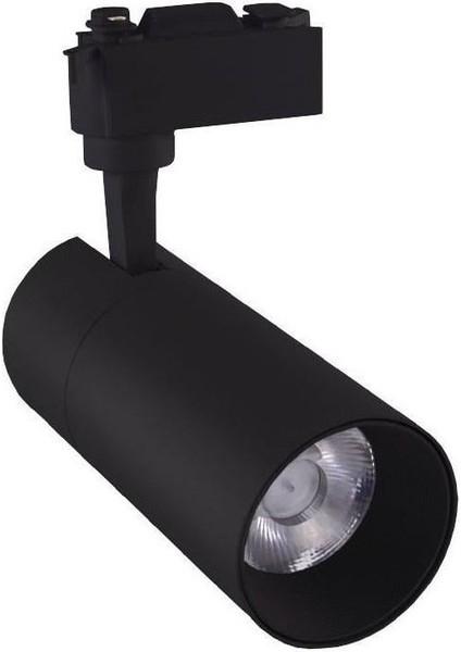 LED Ray Armatür 30W 6500K Siyah Kasa AD30-01131