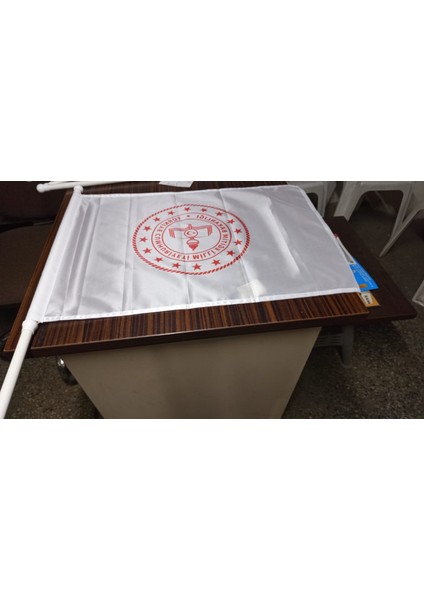 Plastik Bayrak Direği ve Bayrağı indirimleri