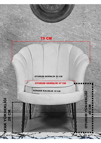Tekli Istiridye Beyaz Boyalı Telli Ayak Çay Seti Koltuk Tekli Berjer , Balkon, Salon, Ofis Krem Renk 47 x 47 Boyut/ebat indirimleri