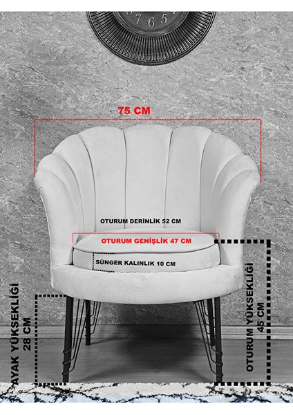 Tekli Istiridye Beyaz Boyalı Telli Ayak Çay Seti Koltuk Tekli Berjer , Balkon, Salon, Ofis Füme Renk 47 x 47 Boyut/ebat indirimleri