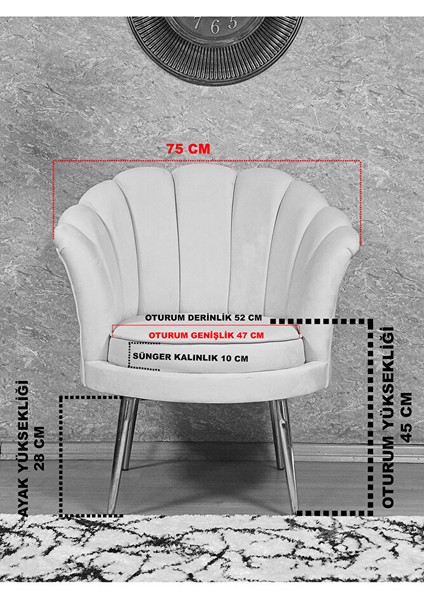Tekli Istiridye Krom Kaplama Sivriltme Ayak Çay Seti Koltuk Tekli Berjer , Balkon, Salon, Ofis Mavi Renk 47 x 47 Boyut/ebat indirimleri