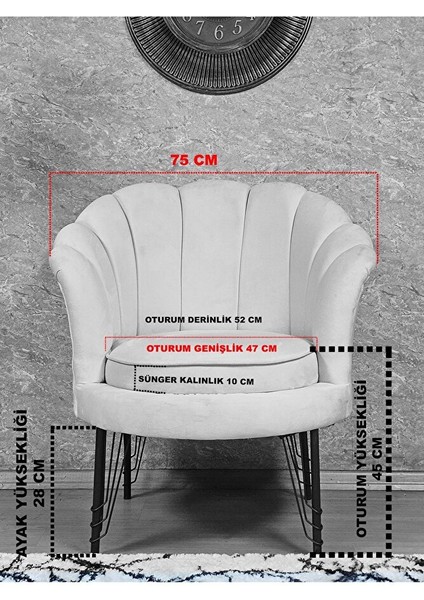 Tekli Istiridye Siyah Boyalı Telli Ayak Çay Seti Koltuk Tekli Berjer , Balkon, Salon, Ofis Gri Renk 47 x 47 Boyut/ebat indirimleri