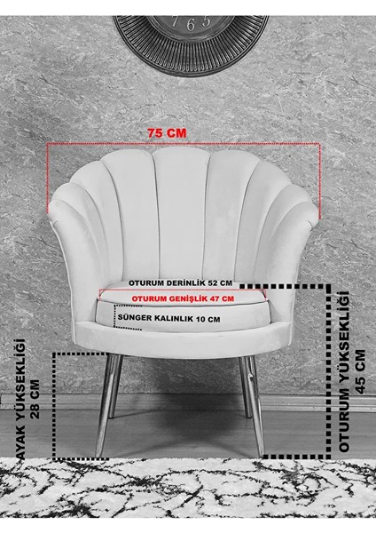 Tekli Istiridye Gold Kaplama Sivriltme Ayak Çay Seti Koltuk Tekli Berjer , Balkon, Salon, Ofis Mavi Renk 47 x 47 Boyut/ebat indirimleri