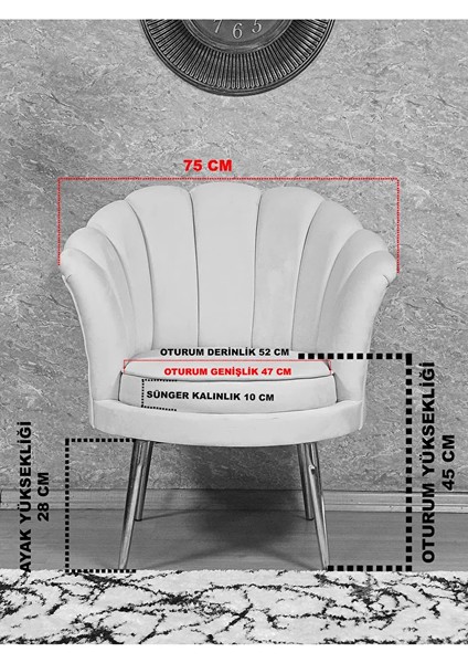 Tekli Istiridye Beyaz Boyalı Sivriltme Ayak Çay Seti Koltuk Tekli Berjer , Balkon, Salon, Ofis Krem Renk 47 x 47 Boyut/ebat indirimleri