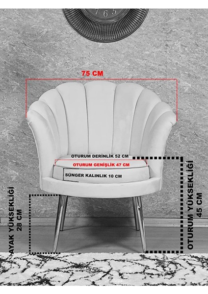Tekli Istiridye Beyaz Boyalı Sivriltme Ayak Çay Seti Koltuk Tekli Berjer , Balkon, Salon, Ofis Pembe Renk 47 x 47 Boyut/ebat