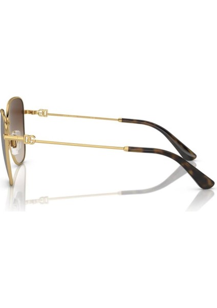 2293 02/13 56 Kadın Güneş Gözlüğü modelleri