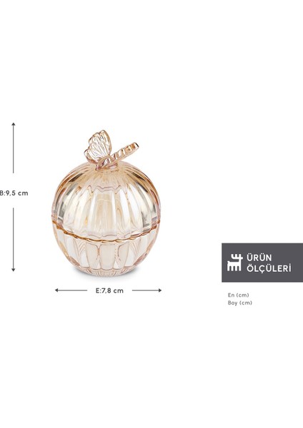 Kelebek Lokumluk Amber fiyatları