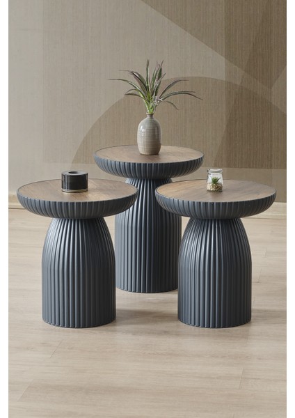 Diamond Bohem Sehpa, 3'lü Set, Yan Sehpa, Zigon Sehpa - Antrasit & Barok Renk