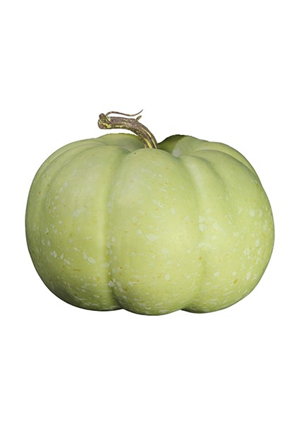 Cadılar Bayramı Yapay Kabak Küçük Boy Yeşil 12 cm