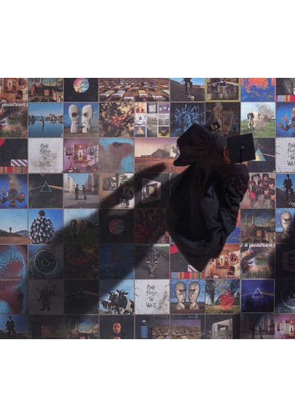 Pink Floyd / The Best Of Pink Floyd: A Foot In The Door (Plak Değildir Cd) (Cd)